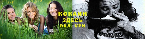 ALPHA PVP Алзамай