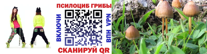 Псилоцибиновые грибы Psilocybe  МЕГА tor  Каменск-Уральский 